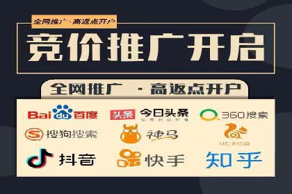 百度SEO推广公司案例精选：助力企业快速崛起